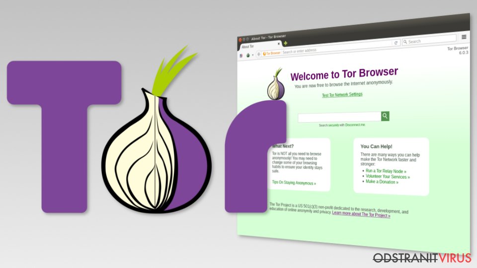 Image of Tor browser