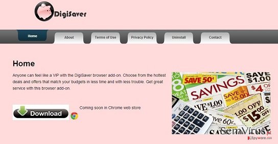 obrázek pro DigiSaver obrázek pro DigiSaver
