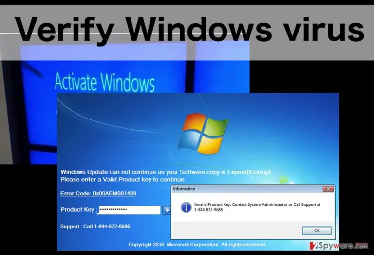 An illustration of the Verify Windows virus